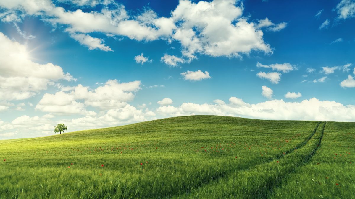 waiting for windows 10 waiting for windows 10